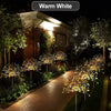 Warm White solar fireworks lawn lights illuminating a pathway and landscaping at night.