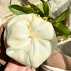 A soft, cream-colored fleece-lined jacket is held in a hand against a background of green leaves.