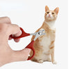 A hand is holding a stainless steel pet nail clipper, demonstrating the tool's grip and function.