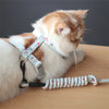 Un gato naranja y blanco esponjoso con arnés azul claro estampado, tumbado en madera.
