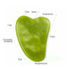 Rodillo de jade verde claro y herramienta gua sha con puntos de acupresión en barbilla, cuello y pierna