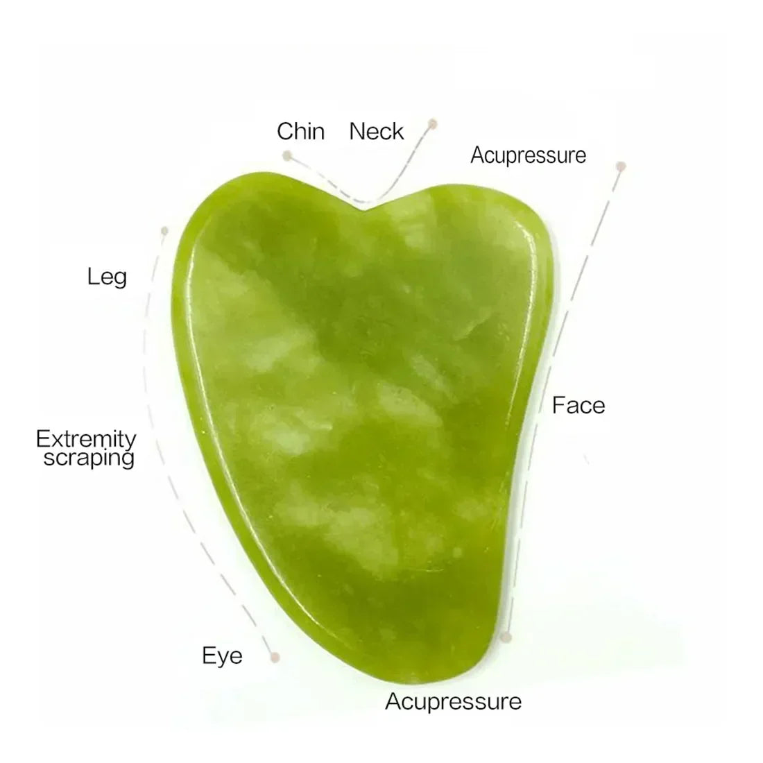 Rodillo de jade verde claro y herramienta gua sha con puntos de acupresión en barbilla, cuello y pierna