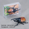 A wind-up insect toy, resembling a ladybug or beetle, is shown inside its clear plastic packaging.