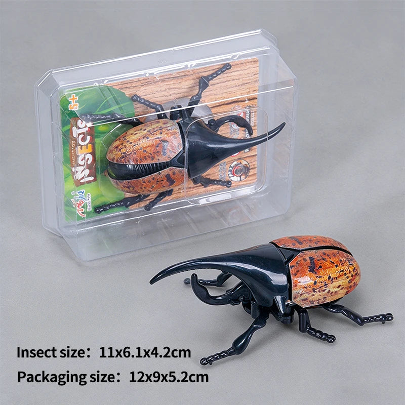 A wind-up insect toy, resembling a ladybug or beetle, is shown inside its clear plastic packaging.