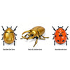 Three wind-up insect toys: a gold beetle, a bronze bee, and an orange ladybug.