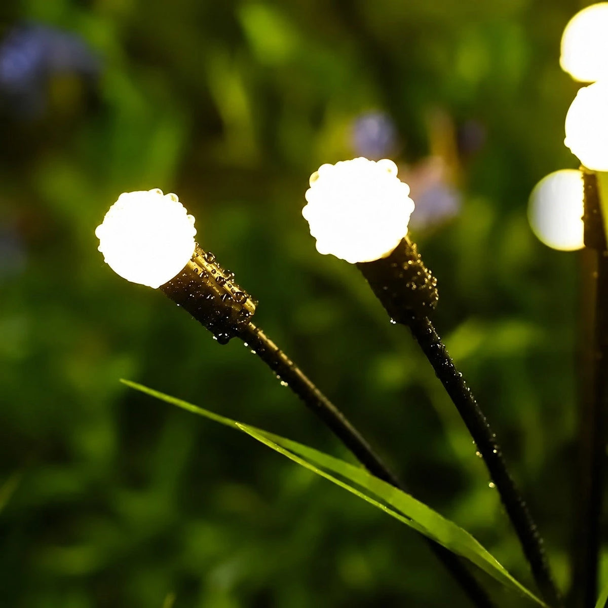 Close-up of warm-white Firefly light globes and black sockets