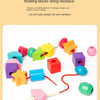 A set of wooden building blocks in various colors and shapes used to create a baby's necklace.