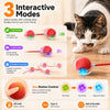 Un juguete interactivo para gatos, una bola roja que rueda con tres modos: rápido, lento e interactivo.