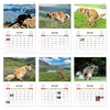 Veggkalender 2027 med bilder av hunder som bæsjer i vakre utendørsområder