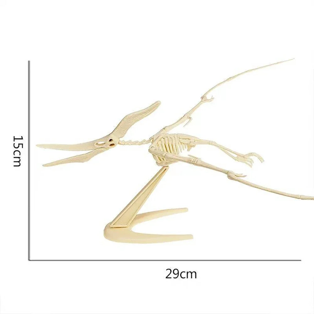 Kit de modelo de ensamblaje de esqueleto de dinosaurio beige claro mostrando la estructura fósil completa.