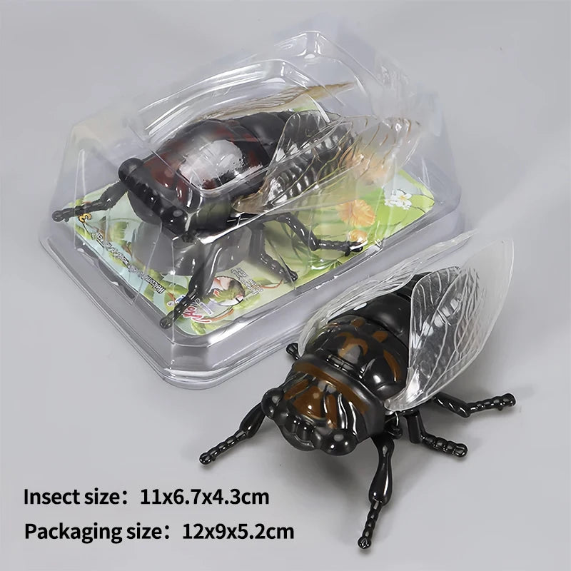A packaged wind-up insect toy featuring a ladybug, bee, and beetle, shown next to its packaging.