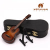Un ensemble de instruments de musique miniatures, dont un violon, une guitare et un ukulélé, présenté sur un étui noir.