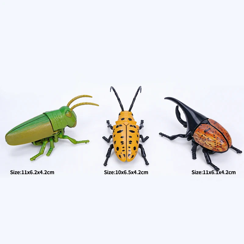 Three wind-up insect toys: a green ladybug, an orange bee, and a black beetle.