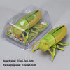 A plastic wind-up insect toy resembling a ladybug or beetle, shown next to its clear packaging.