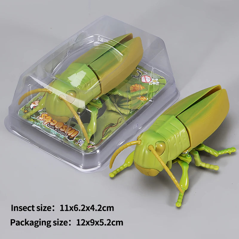 A plastic wind-up insect toy resembling a ladybug or beetle, shown next to its clear packaging.