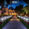 A pathway lined with white solar fireworks illuminates a large house at twilight.