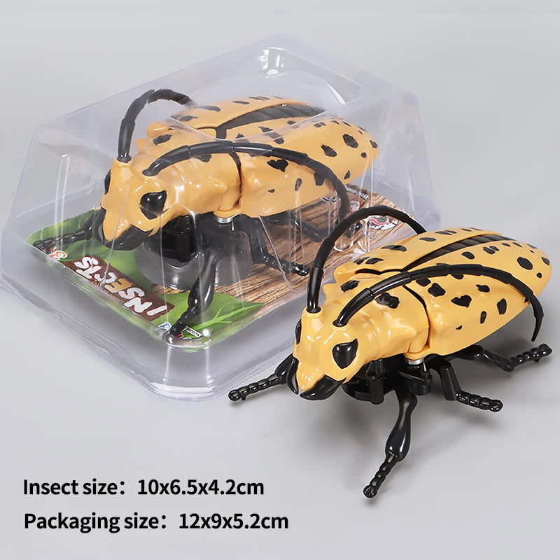A plastic packaging shows a wind-up insect toy simulating a ladybug, bee, or beetle with yellow and black markings.