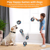 A young girl is playing with a dog and an elastic ball toy indoors.