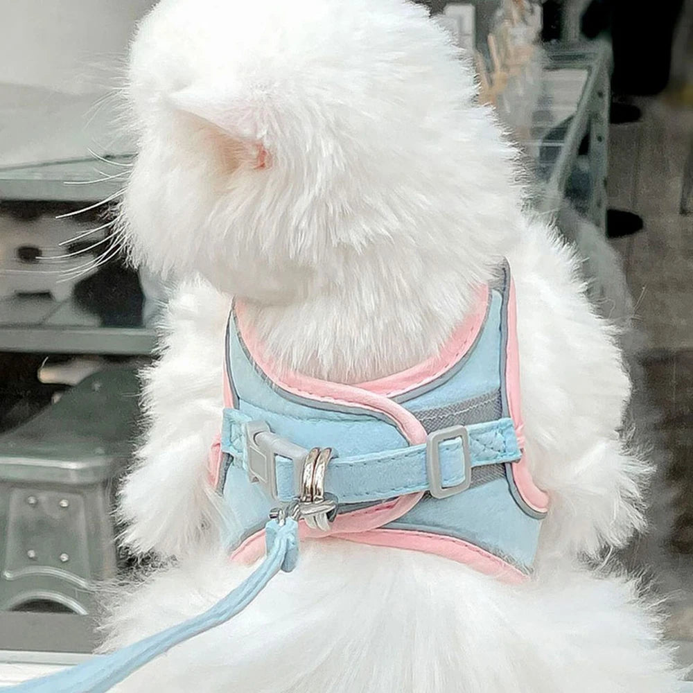 En hvit katt iført en lyseblå sele med rosa detaljer og bånd.