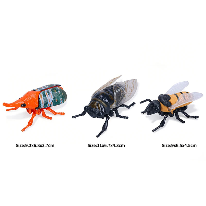 Three wind-up insect toys simulating a ladybug, bee, and beetle for kids