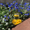 A glass of golden honey is displayed in a garden setting surrounded by blue and white flowers.