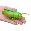 A green wind-up insect toy resembling a ladybug or beetle is held in a person's hand.