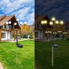 Six-head solar Firefly light shown in daylight and at night