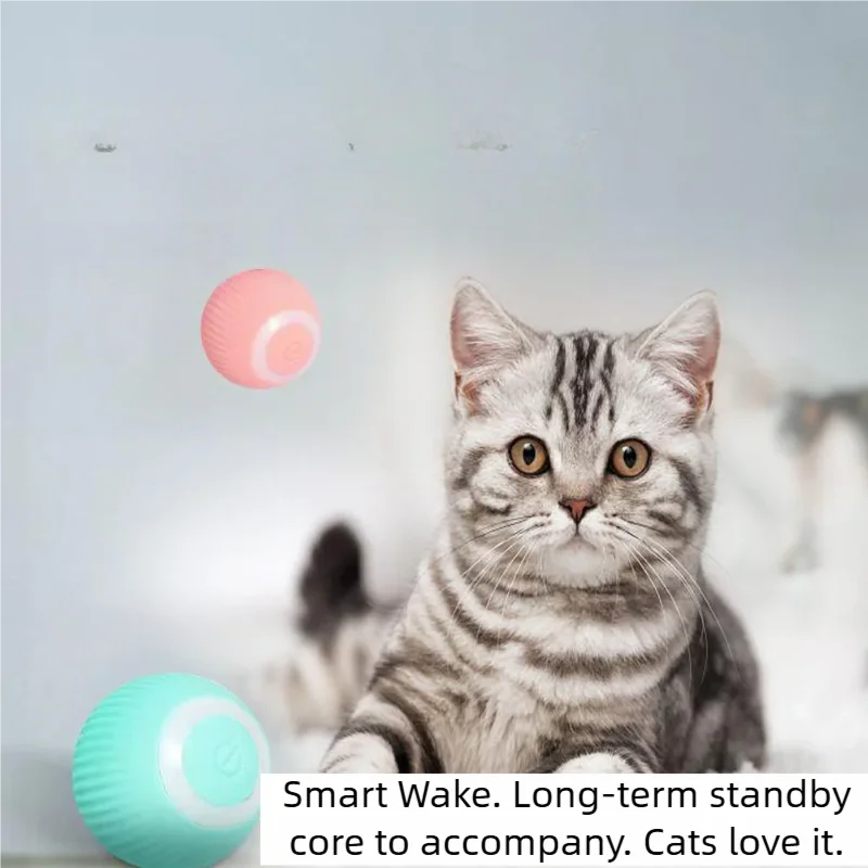 A tabby cat looks at the camera while a pink ball floats near a teal ball.