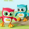 A pink owl and a blue owl toy with lights sitting on a green surface.