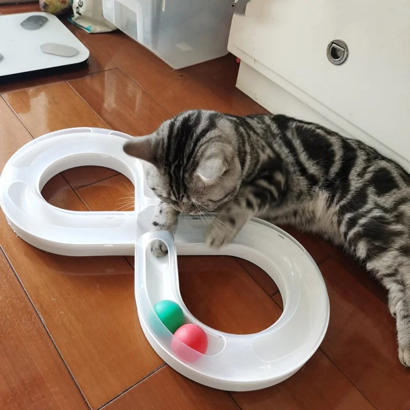 A tabby cat is interacting with a white plastic cat turntable toy featuring a tunnel and a ball.