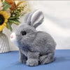 A gray bunny plush toy with large ears and pink nose sitting on a blue surface.