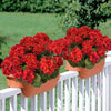 A terracotta planter filled with vibrant red artificial geranium flowers displayed on a white picket fence.