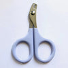 A pair of light blue and silver stainless steel pet nail clippers with a non-slip grip.