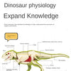 Diagram showing the anatomy of a dinosaur skeleton with labeled bones and organs for knowledge expansion.