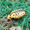 A bright yellow ladybug-like insect with black spots is resting on green grass and fallen leaves.