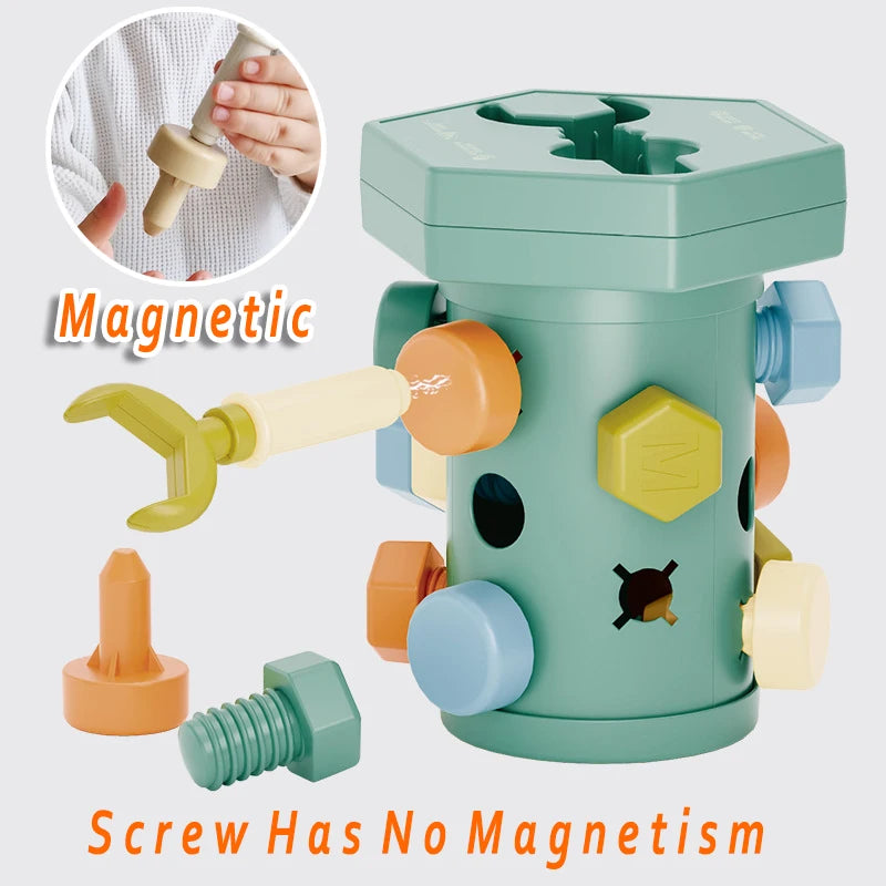 A teal screwdriver board toy showing a magnetic screwdriver and a non-magnetic screw, demonstrating the difference in functio