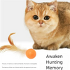En luftig orange tabbykatt ser direkte mot kameraet med en lang hale synlig.