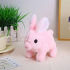 A pink bunny plush toy with long ears is shown on a white surface next to a potted plant.