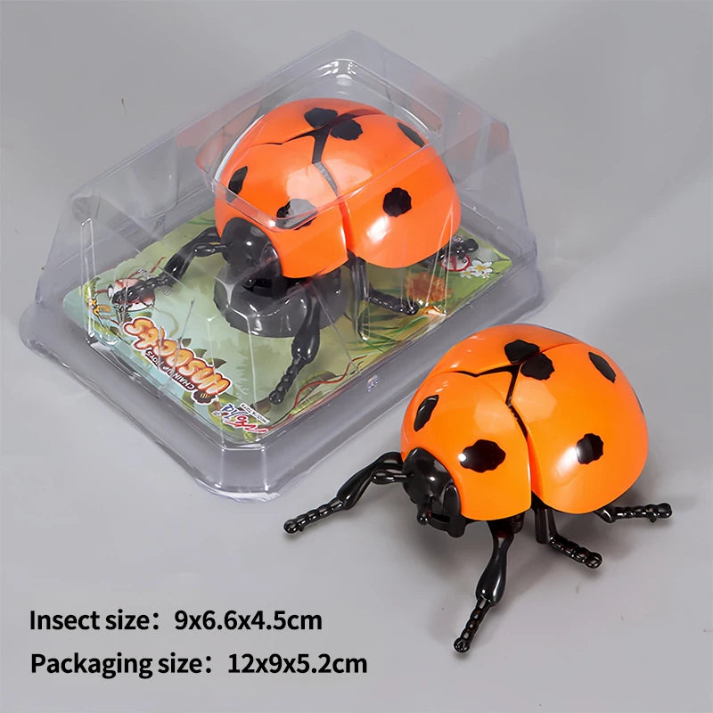 A wind-up insect toy featuring an orange ladybug with black spots, packaged in clear plastic.
