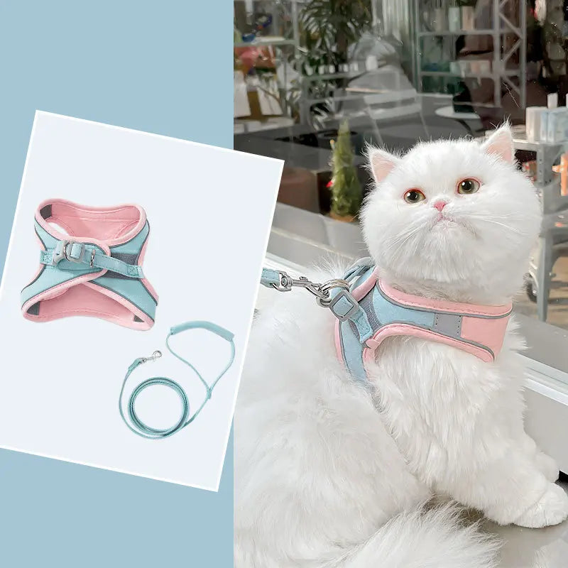 En hvit katt med rosa og blå seler og bånd som lyser i mørket.