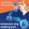 A fluffy dog is playing with a blue automatic dog walking ball and accompanying moving plastic pieces.