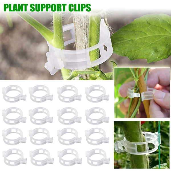 Various reusable plant support clips made of clear plastic for gardening and vine support