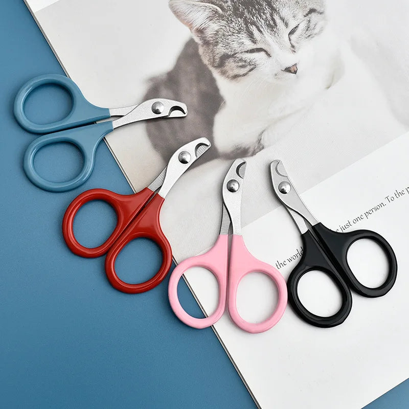 A collection of stainless steel pet nail clippers in various colors, including blue, red, pink, and black, resting on a white