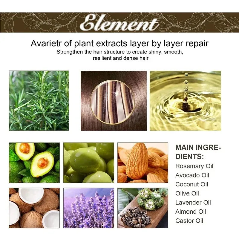 A visual guide showing how plant extracts are layered for hair repair, alongside images of main ingredients like Rosemary, Av