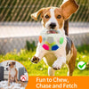 A happy dog is playing with an interactive squeaky ball toy outdoors.