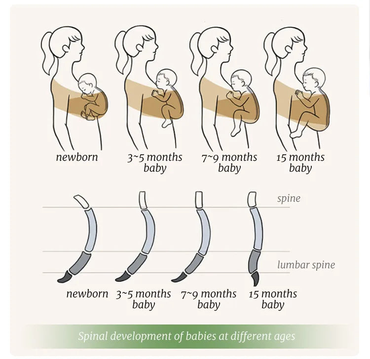 Diagram showing the spinal development of babies at different ages from newborn to 15 months.