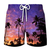Purple swim trunks featuring a tropical coconut tree print against a sunset sky.