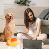 Una mujer interactúa con un juguete interactivo que dispensas golosinas mientras un golden retriever espera cerca.