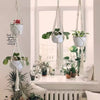 En samling håndlagde macrame-plantekasser med grønne planter og hvite potter i vinduskarmen.