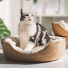 A gray and white cat is resting in a handwoven bamboo pet bed with a removable cushion.